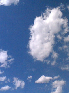 b0062337_2058341.jpg