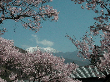 b0075140_11274141.jpg