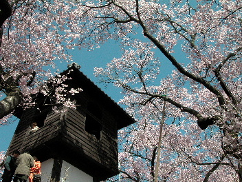 b0075140_11281936.jpg