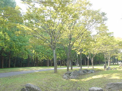 c0016642_1335572.jpg