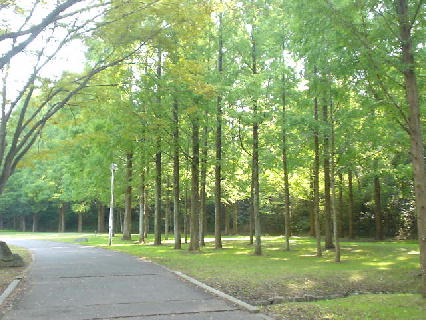 c0016642_13422048.jpg
