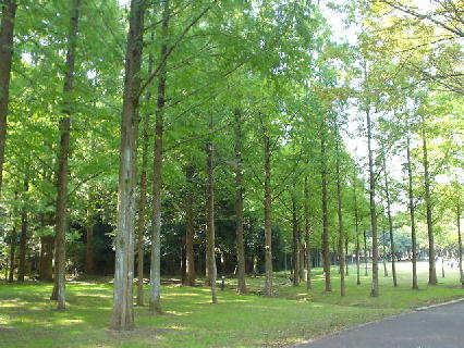 c0016642_1342795.jpg