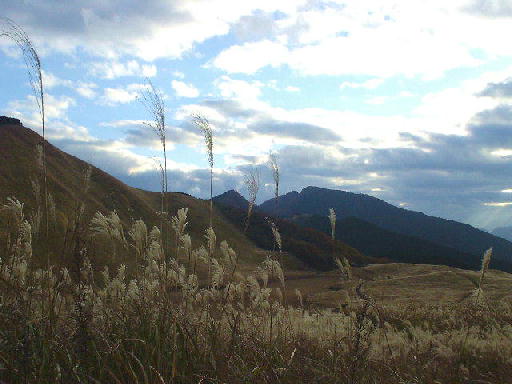 c0016642_17284454.jpg