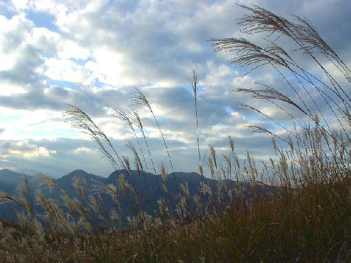 c0016642_17292893.jpg