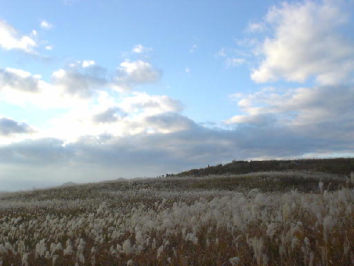 c0016642_1730344.jpg