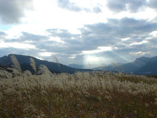 c0016642_17304310.jpg