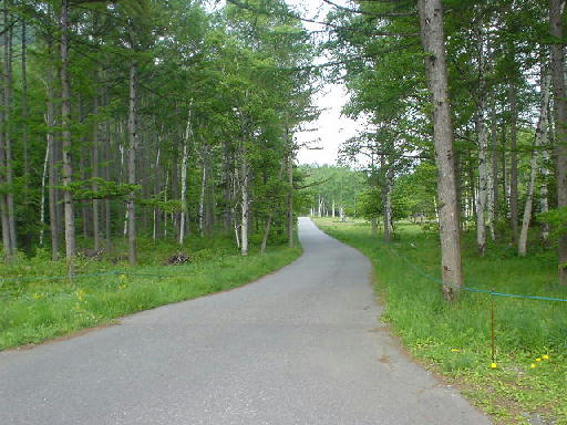 c0016642_18213129.jpg