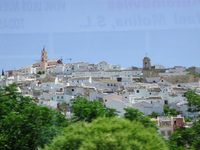 c0016642_1952495.jpg