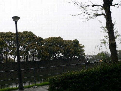 a0008549_0342032.jpg