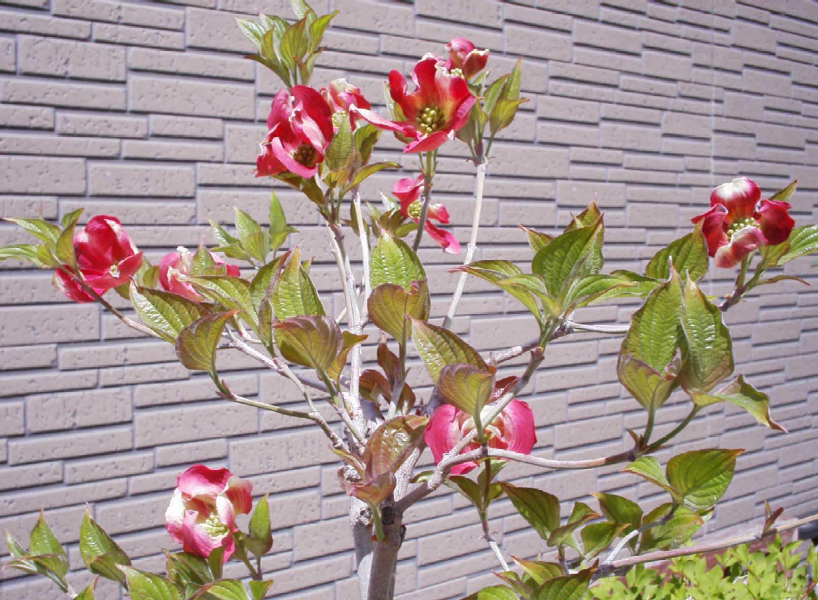 f0091250_1640337.jpg