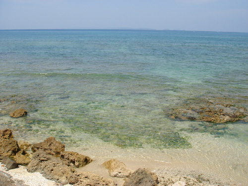 b0049152_1731155.jpg