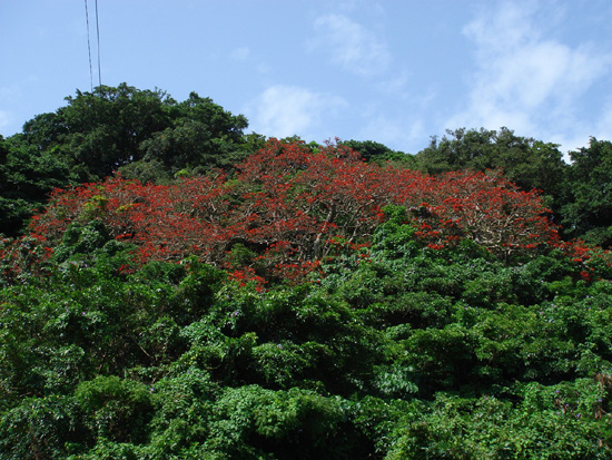 b0049152_17311660.jpg