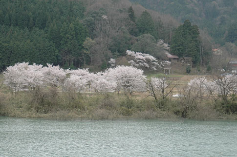f0020352_108553.jpg
