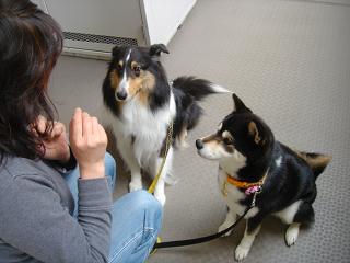 f0046854_18351477.jpg