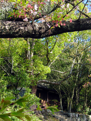 f0007956_1445025.jpg