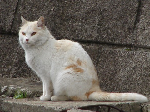 b0061261_2295625.jpg