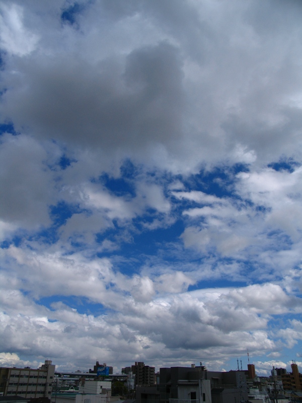 c0030874_17275136.jpg