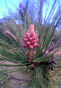 e0060483_22393848.jpg