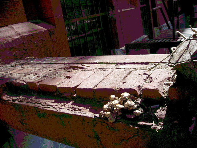 c0037103_1248646.jpg