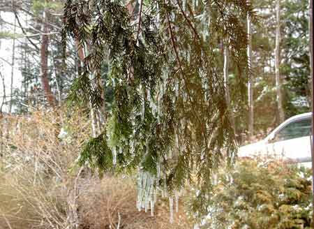 e0001110_5563680.jpg