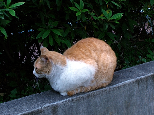 e0066210_0235277.jpg