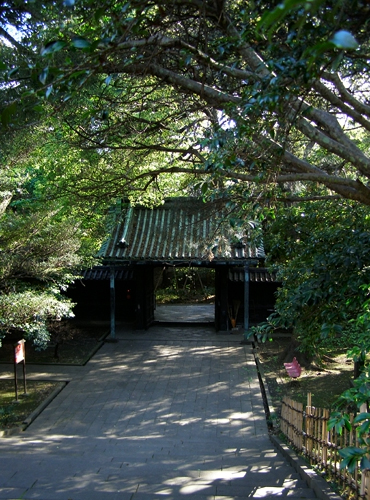 e0066210_194648.jpg