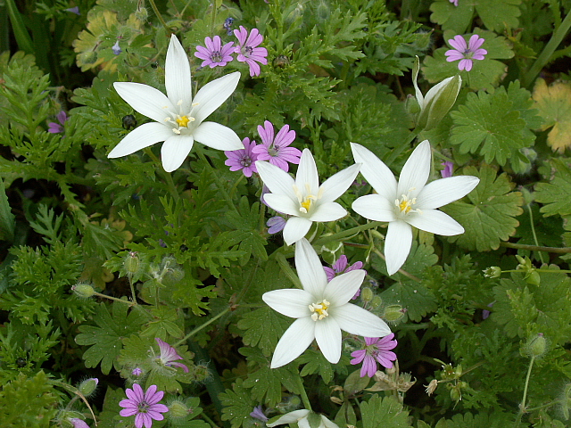 c0051718_1544553.jpg