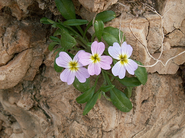 c0051718_1562752.jpg