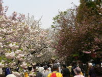 e0009324_23473516.jpg