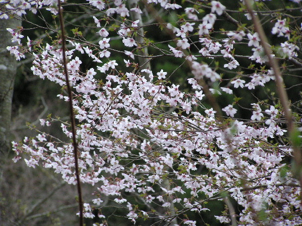 f0103126_20552513.jpg