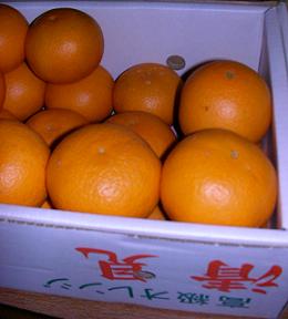 e0089227_1557977.jpg