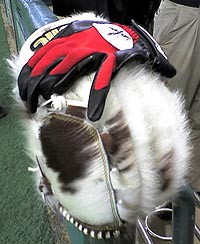 c0045134_234044.jpg