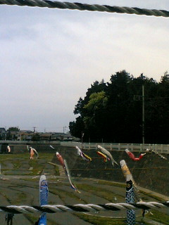 b0062337_1219213.jpg