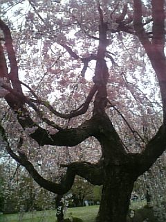 f0053847_1848375.jpg