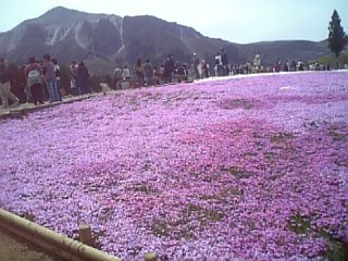 f0053847_1850576.jpg