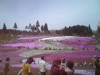 f0053847_18514745.jpg