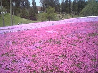 f0053847_18525999.jpg