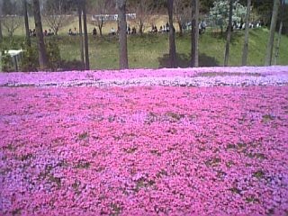 f0053847_18531738.jpg