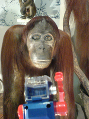 e0005548_028463.jpg