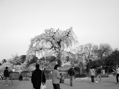 a0024250_0302795.jpg