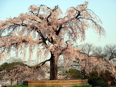a0024250_0354378.jpg