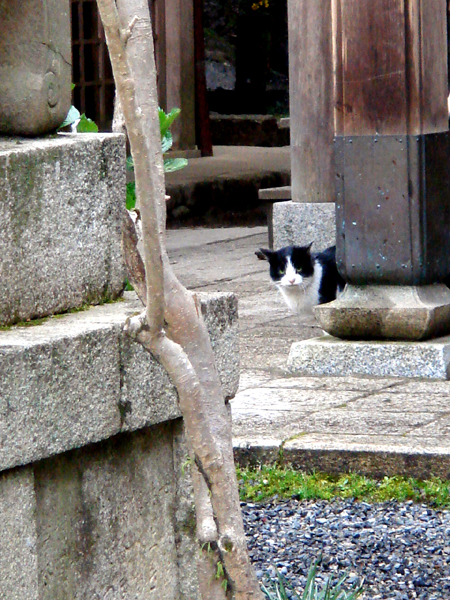 a0024250_1365822.jpg