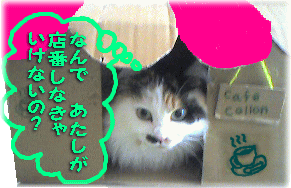 c0025852_17252984.gif