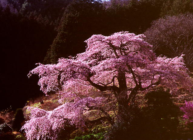 b0083855_23514866.jpg