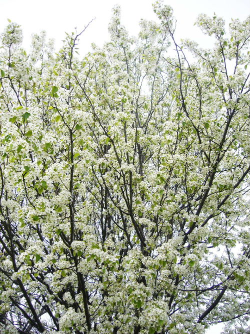 b0015260_2084370.jpg