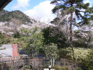 a0063364_0212231.jpg