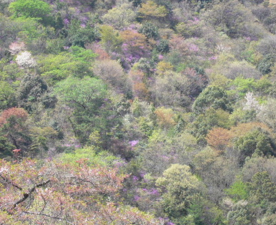 a0063364_0252596.jpg