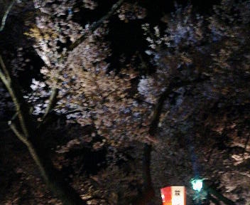 b0017164_19402257.jpg