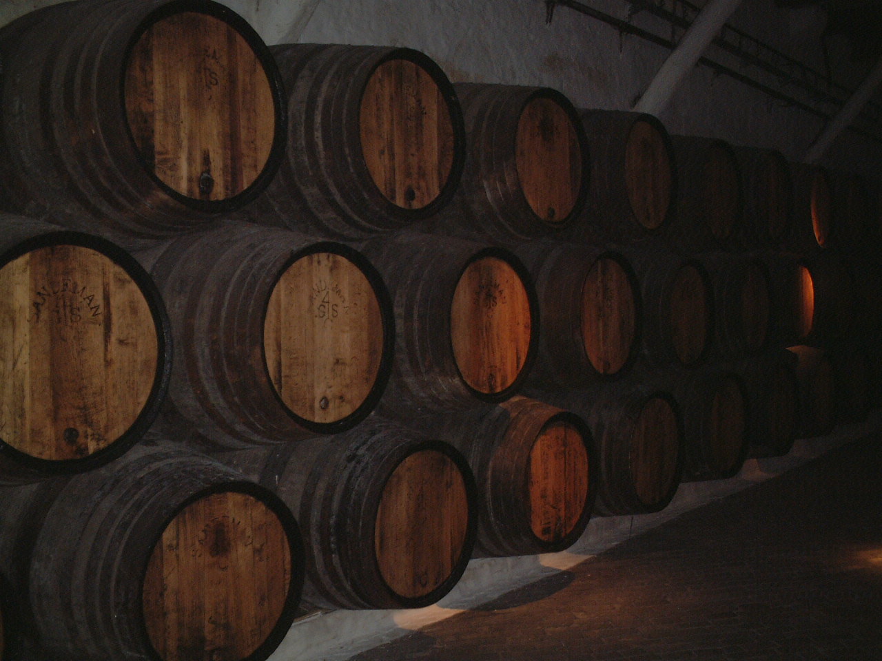e0078564_1361353.jpg