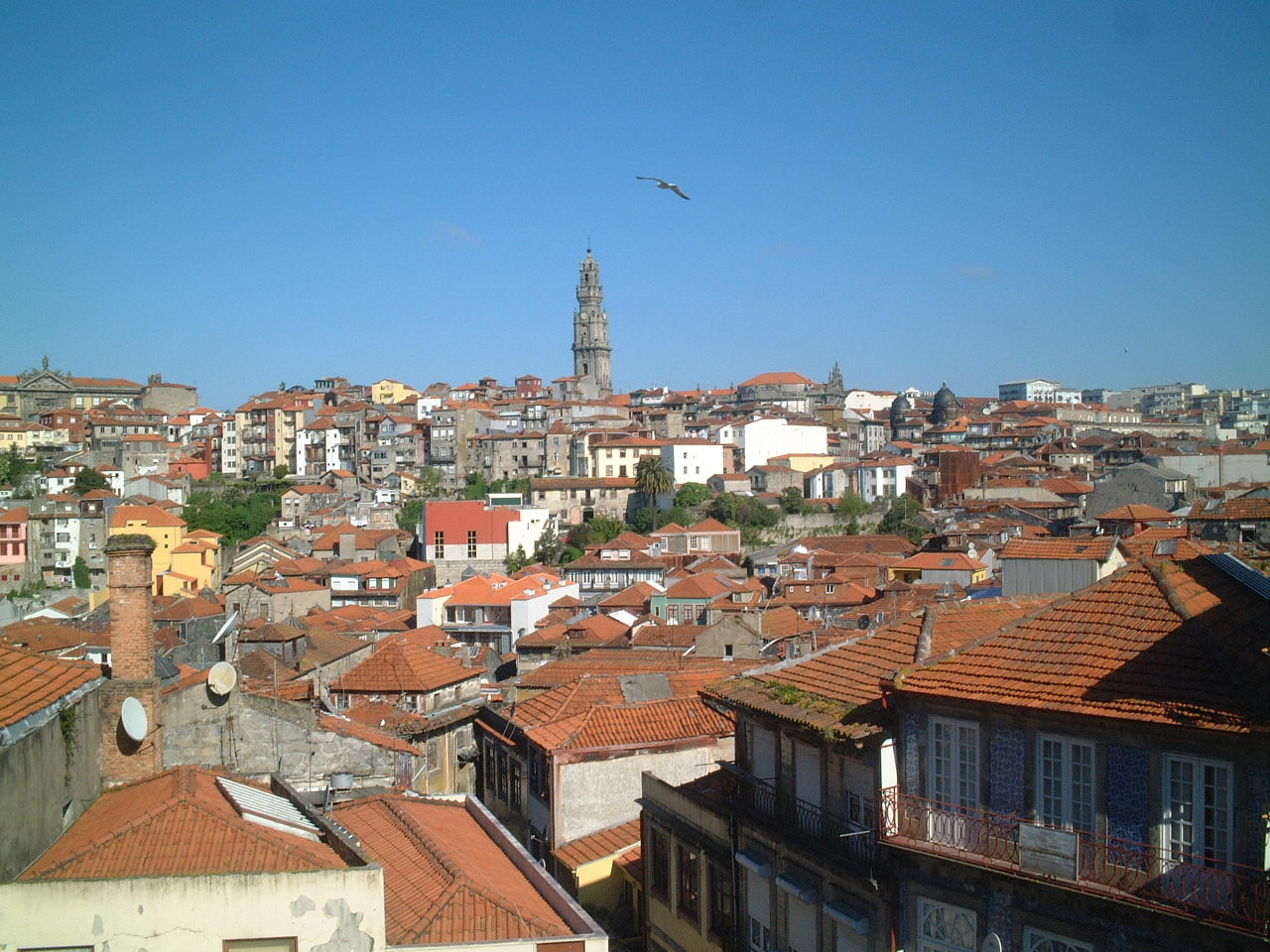 e0078564_1432135.jpg